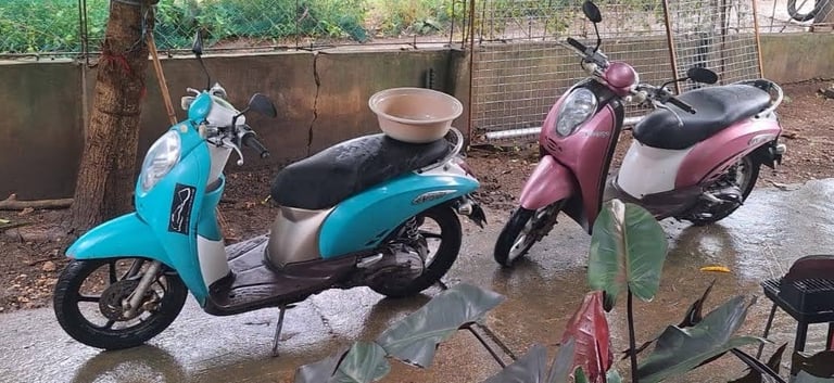 scooters to be rented out after they have been washed ;-)