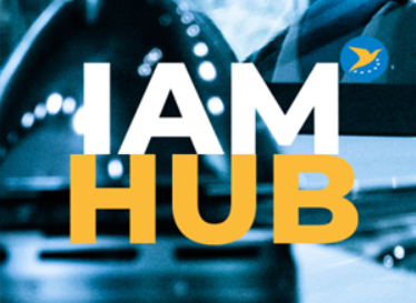 IAM Hub