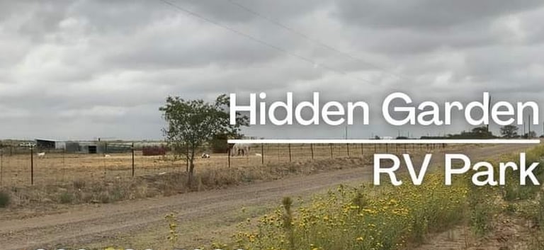 Flower-lined entrance road at Hidden Garden Flower-lined entrance road