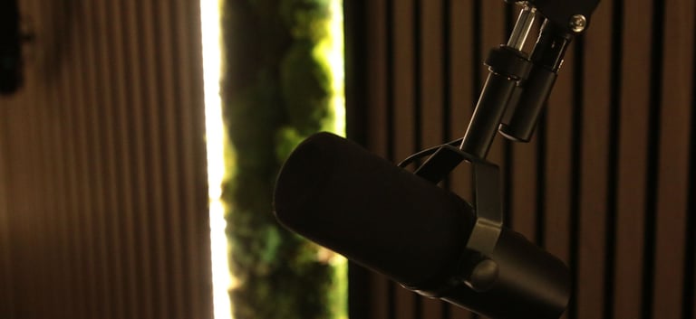 a microphone in a recording studio with a microphone