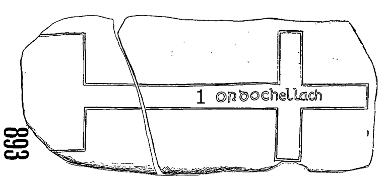 Iniscealtra Runestone 893 - Barony of Tulla Upper, County Clare, Ireland