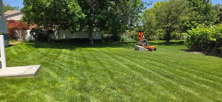 Lawn Care Company