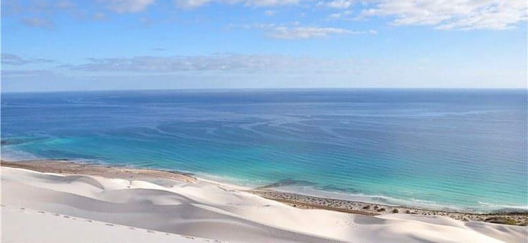 Socotra guide