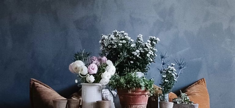 бои и лакови