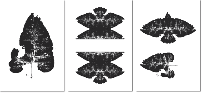 Schwarzer Blatt-Abdruck ergibt in der Spiegelung einen Vogel, kunstvolle Trauerkarte