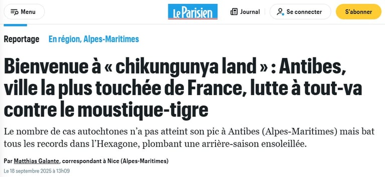 article de presse Antibes chikungunya land 