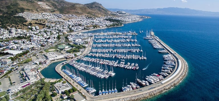 Turgutreis Chauffeur Service