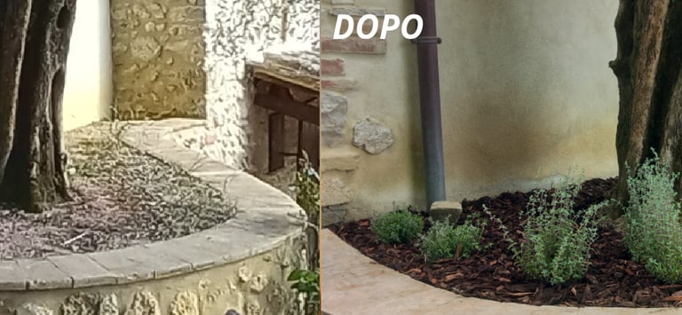 aiuola aromatiche timo limone rosmarinio prostrato maggiorana origano ulivo casale in pietra umbria 