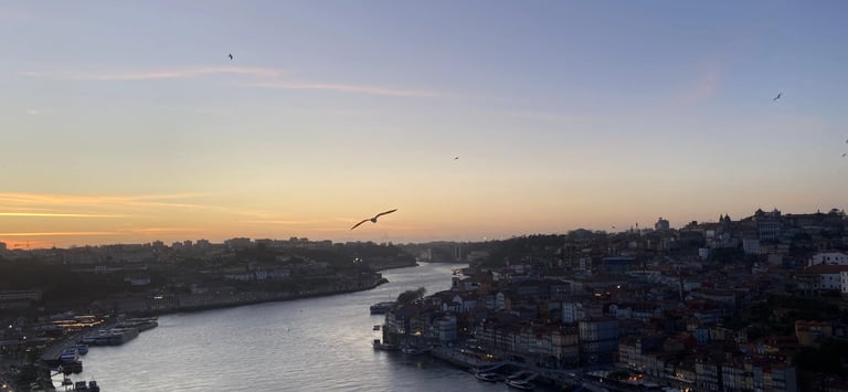 Data storytelling website hero image with clean design