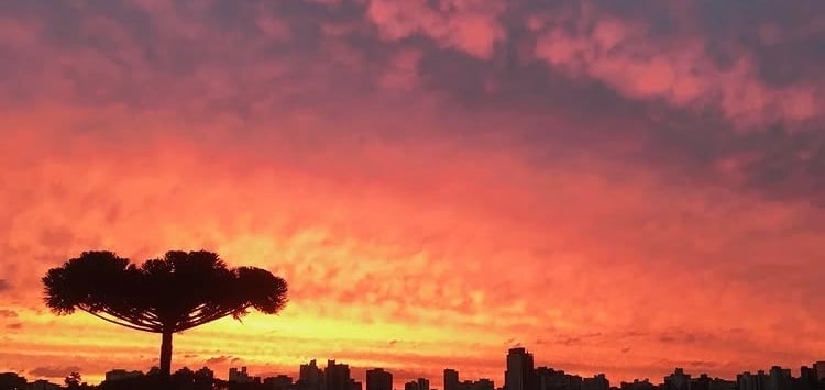 Data analyst and technical communicator