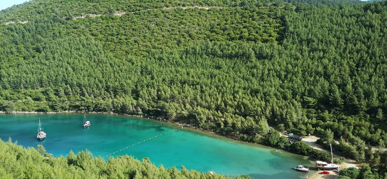 Golkoy Chauffeur Service