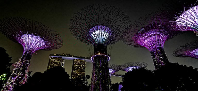 Gardens by the bay licht- en muziekshow