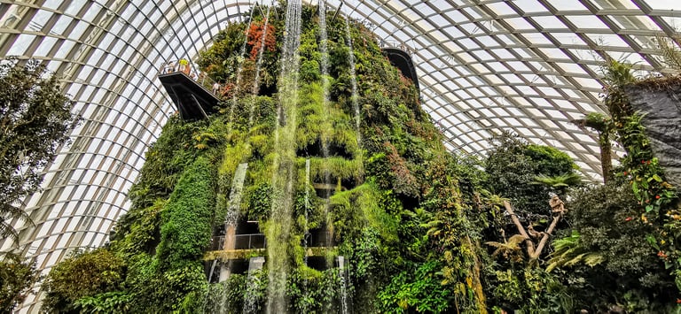 Gardens by the bay Singapore