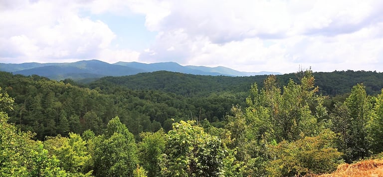Tellico Plains TN - view of Blue Ridge Mtns at Caney Branch Overlook on Cherohala Skyway