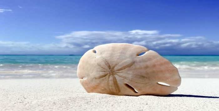 best-beaches-on-anna-maria-island
