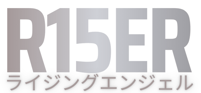 a motorcycle chain linkage with the words riser on it