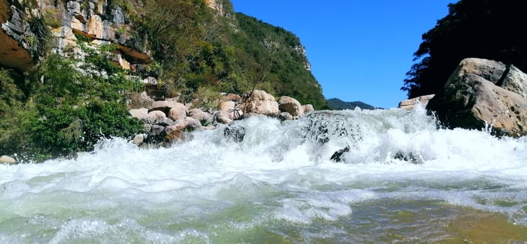 A waterfall in the El Ocote Biosphere Reserve in Chiapas on a Sabes Aves jungle birding trip