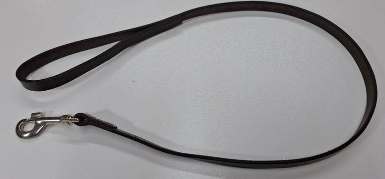 Leather Dog lead