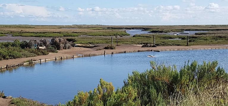 Murrys Pond on the Marsh