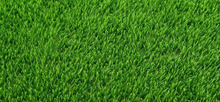 High-quality synthetic artificial grass turf with vibrant green blades for landscaping.