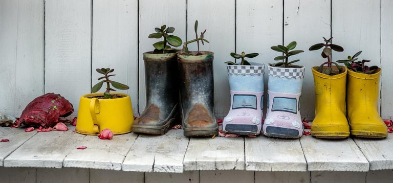 Rain boots repurposed into planters. 