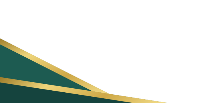 a decorative element for a tampa bay commercial real estate website