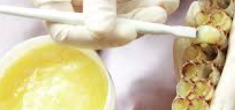 A creamy substance produced by worker honeybees