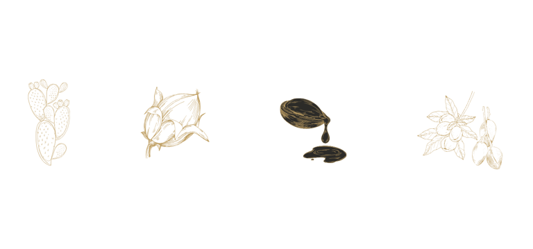 Gold line art illustrations of prickly pear, cotton, argan oil, and shea butter on a black background.