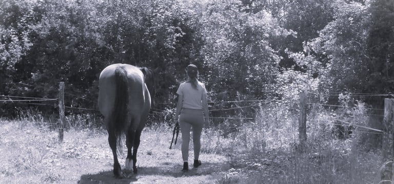jeune fille qui marche à côté d'un cheval pour une séance d'équithérapie