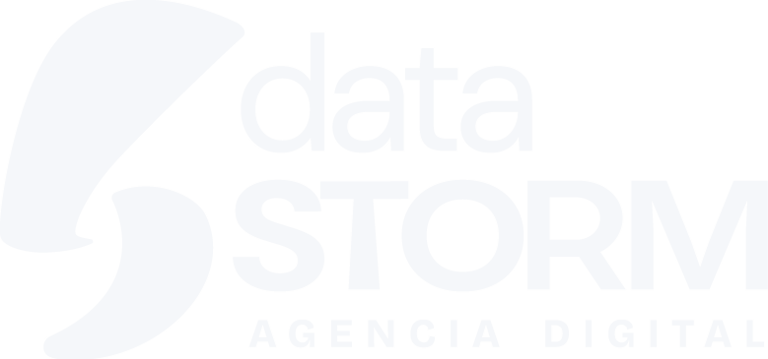 Data Storm Agencia Digital Logo