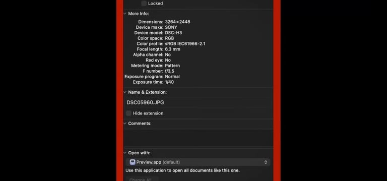 Zainab Abdulkarim - Zainab Ali Art, Photographs and information