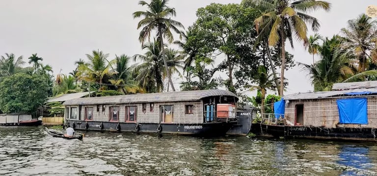 Traditional houseboats resting along the quiet edge of Alleppey backwaters with calm water and palm-lined shores in Kerala.