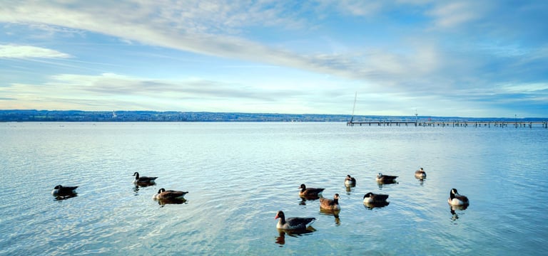 Bioidentische Hormontherapie am Ammersee und Umgebung