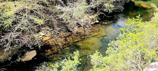Fall Creek Falls, Pikeville - View of small stream that carved it's way thru rocks