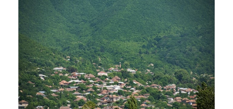 a bird's eye view of a town with a church and a mountain in