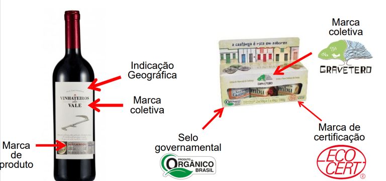 propriedade industrial vinho selo governamental marca de certificação