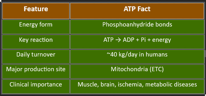 ATP summary