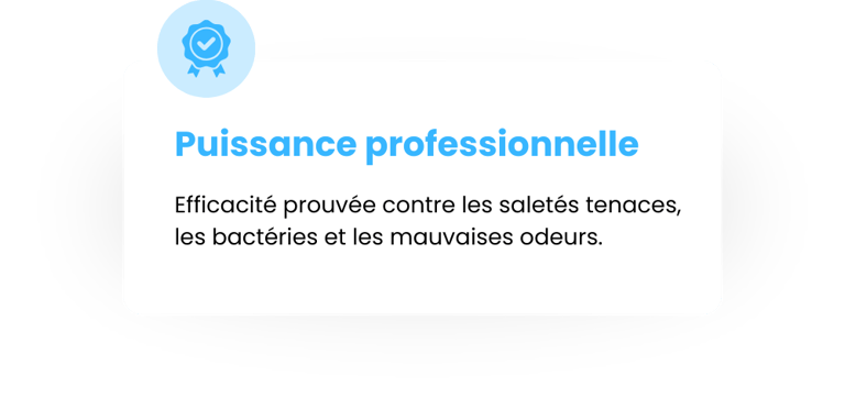 Vecteur accueil