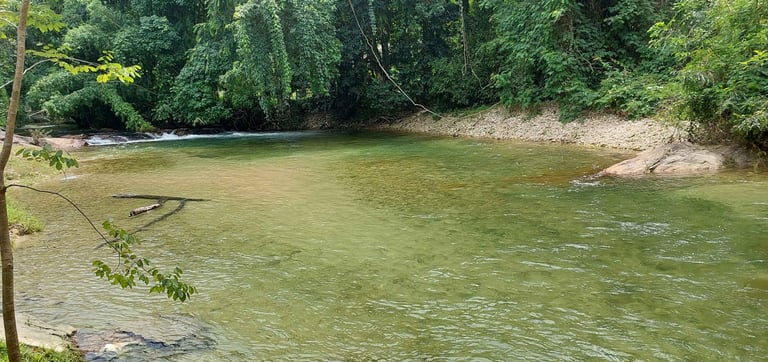 thailand khao lak atv and bamboo rafting