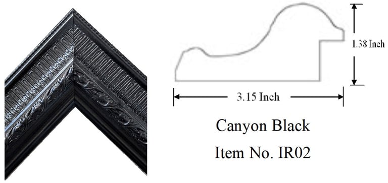 Canyon Black Picture Frame Item No. IR02