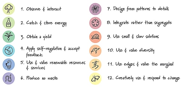 Permaculture principles in india