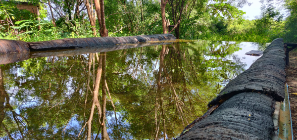 Reflections in the water from the photo hide | Birding Adventures Gambia