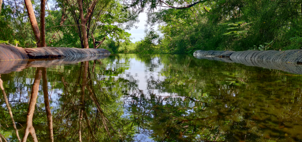 Photographer's view from the professional hide | Birding Adventures Gambia