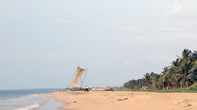 Negombo Beach