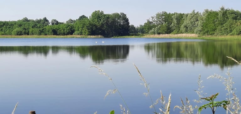 etang calme absolu,sandrans romans