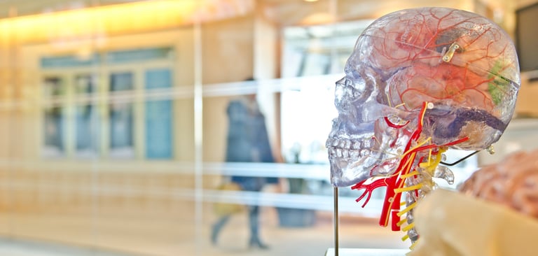 How Storytelling Rewires Your Brain