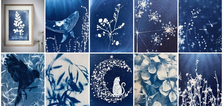 medley de cyanotypes réalisés par Atie Lazuli