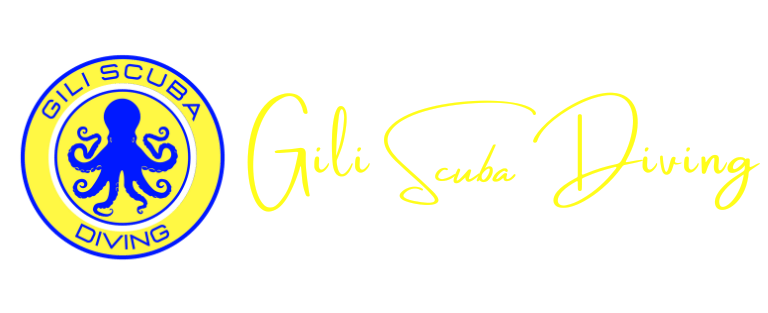 Logo for Gili Scuba Diving, the ideal place to try scuba diving and explore the world's oceans from Gili Trawangan.