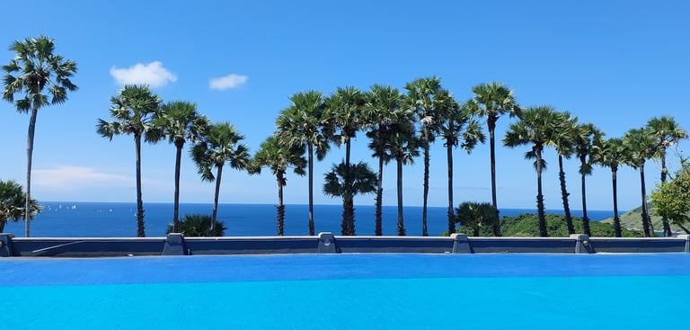 thailand phuket best viewpoints promthep cape palm trees