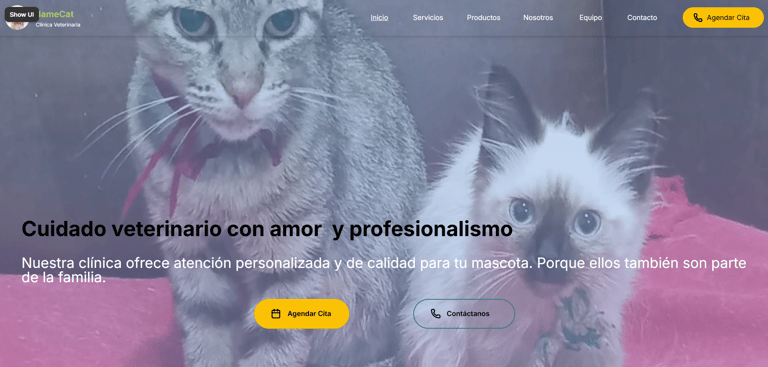 Diseño ux ui a desarrollo Framer